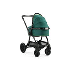 Aston Martin egg3® Package Performance Green