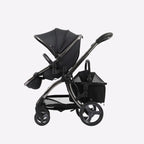 Egg Basket/Pet Basket