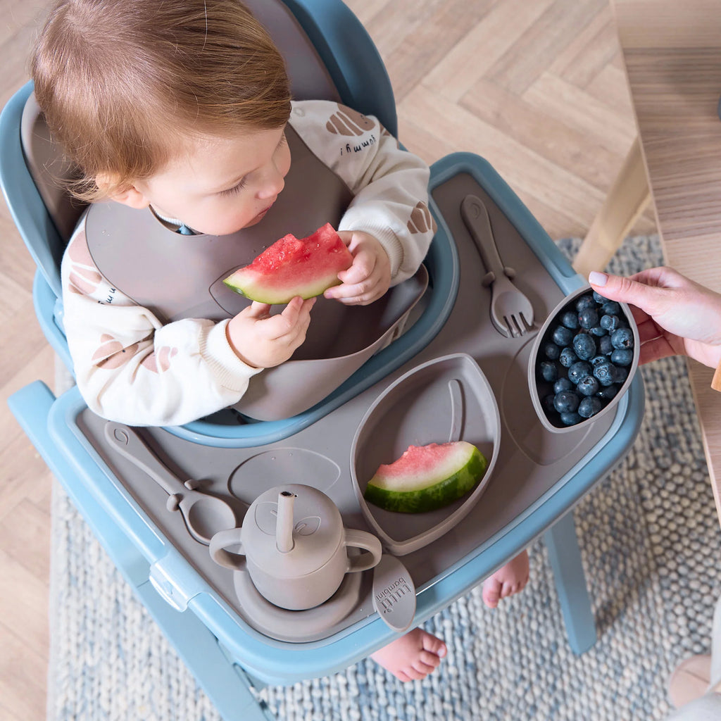 Tutti Bambini Nova Highchair Accessory Pack