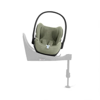 Sage Green