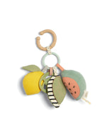 Mama and Papas Babyplay Activity Linkie Toy - Fruit
