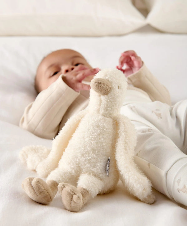 Mama and Papas Welcome To The World Duckling Bean Soft Toy