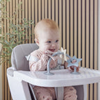 Shnuggle Stick 'n' Play