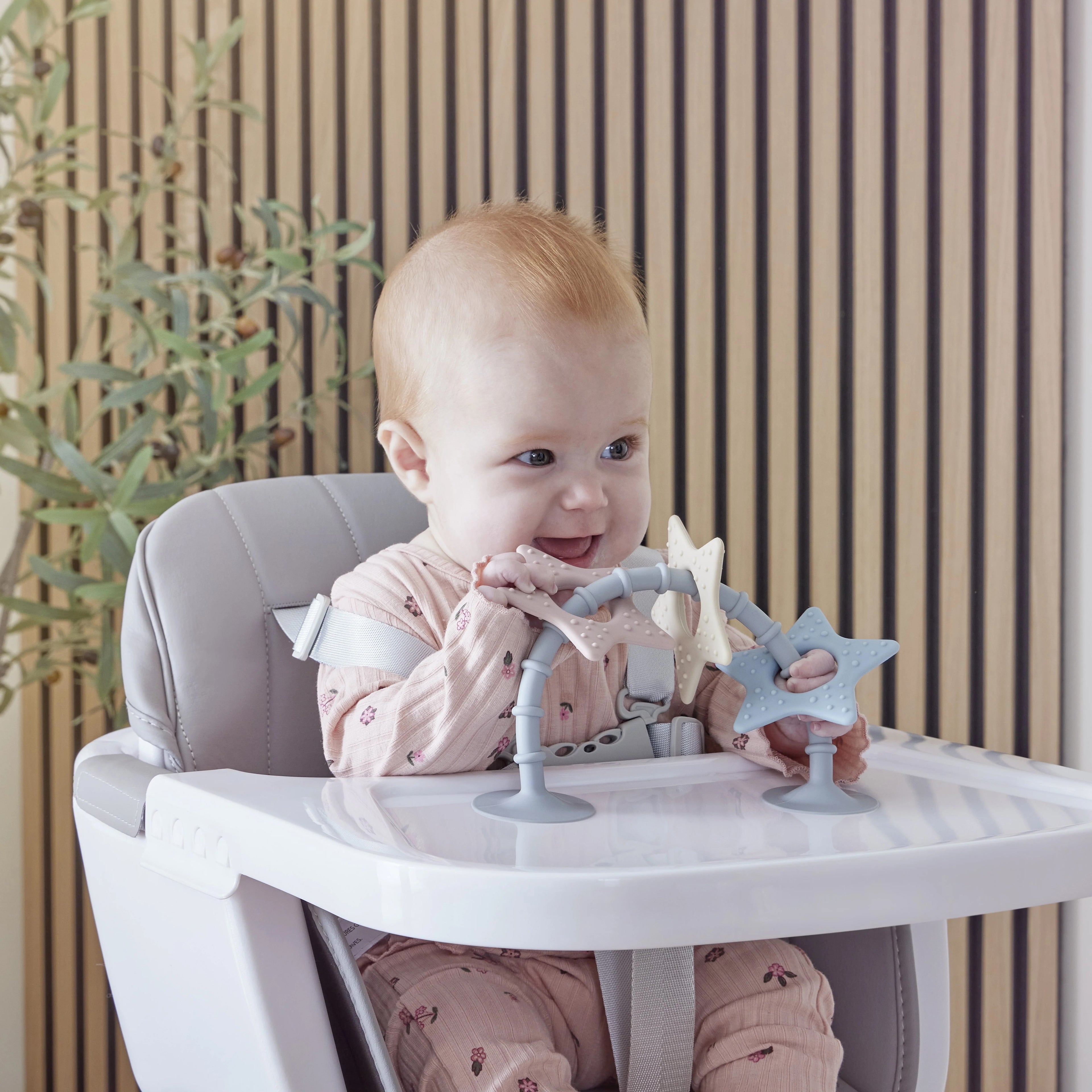 Shnuggle Stick 'n' Play