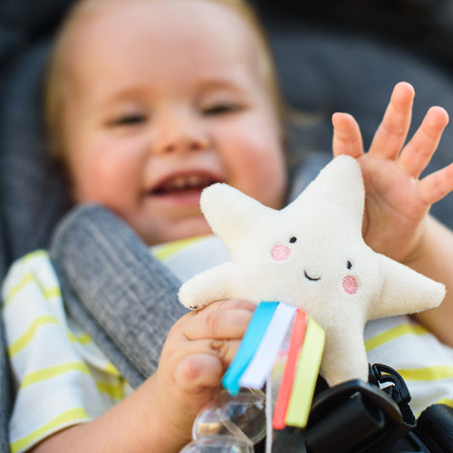 Taf Toys Star Rainstick