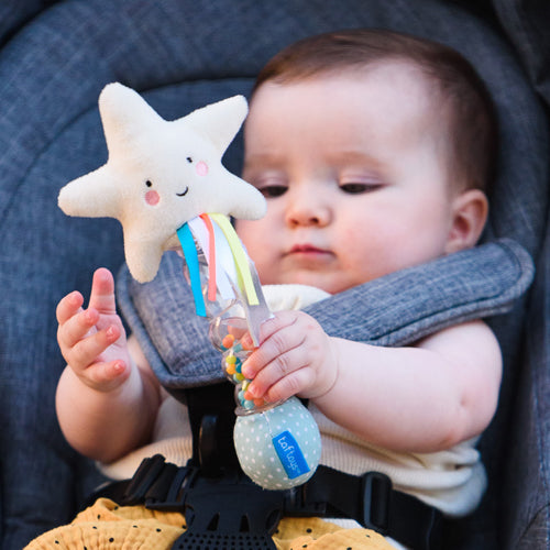 Taf Toys Star Rainstick