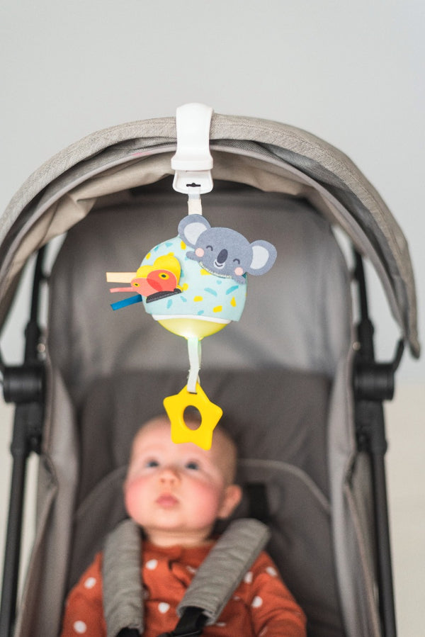 Taf Toys Musical Koala