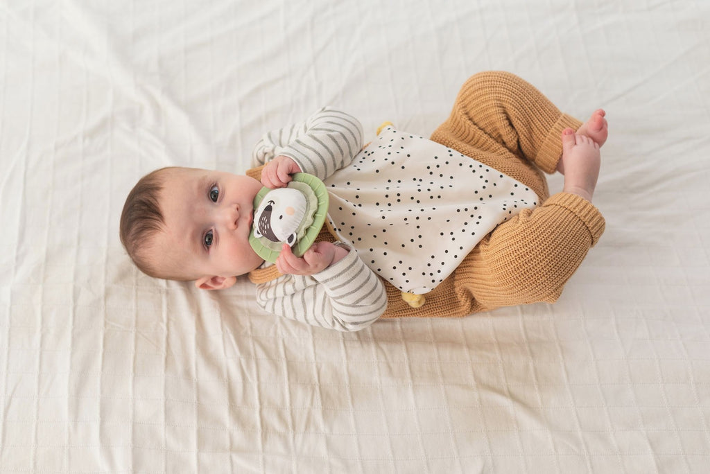 Taf Toys Newborn Develop & Play Kit