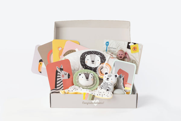 Taf Toys Newborn Develop & Play Kit
